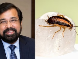 Need 'Cockroaches Per Square Foot' Limit? Harsh Goenka Reacts To Bombay High Court's Food Licence Remark