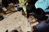 Snake Bite: रीवा के गुढ़ में बाइक के अंदर बैठे सांप ने काटा, युवक की हालत गंभीर