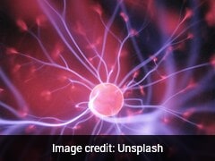 Lab-Grown Human Brains Grow For 7 Years, Set Longevity Record