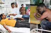 BJP की तिरंगा यात्रा पर मधुमक्खियों का हमला, 40 घायल, एक को 200 से ज्यादा डंक मारे; खेत में छिपकर बचाई जान