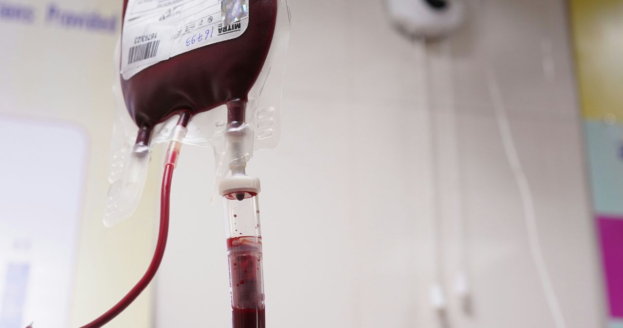 Blood banks are considered safe only when the entire chain works