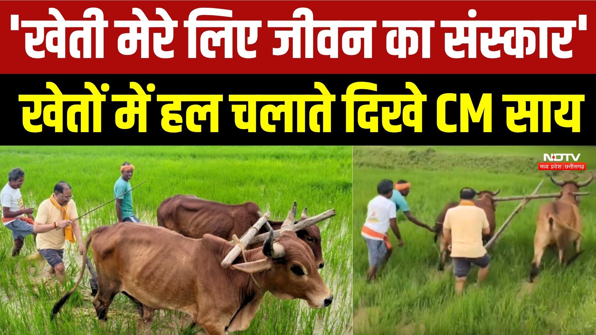 'खेती मेरे लिए जीवन का संस्कार' खेतों में हल चलाते दिखे CM साय