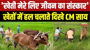 'खेती मेरे लिए जीवन का संस्कार' खेतों में हल चलाते दिखे CM साय