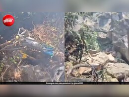 केन्या में सफारी पर जा रहा हेलिकॉप्टर क्रैश, 5 अमेरिकी टूरिस्ट सहित सभी 7 की मौत