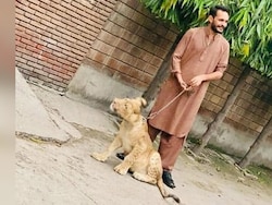 How Pak-Backed Handler Shahzad Bhatti Built Online Terror Network