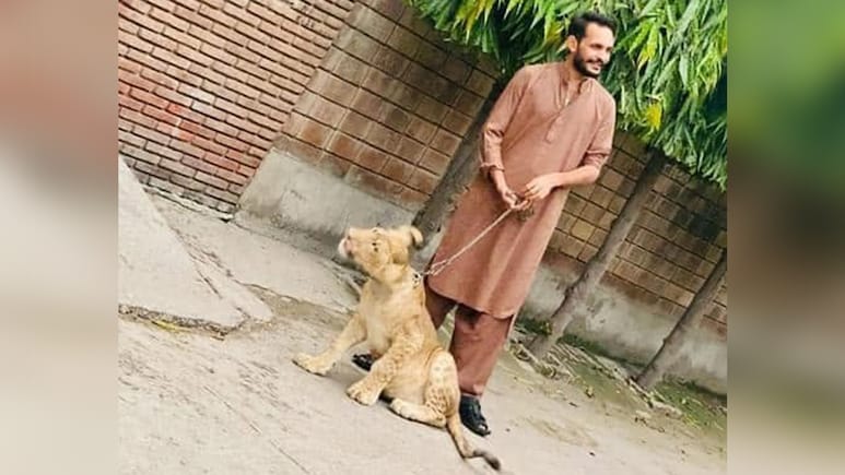 How Pak-Backed Handler Shahzad Bhatti Built Online Terror Network