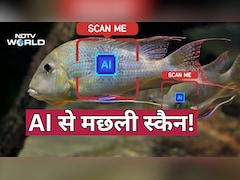 मछलियों की ‘face recognition’, चीन ने तिब्बत की नदी पर लगाया AI सिस्टम Fish Face