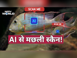 मछलियों की &lsquo;face recognition&rsquo;, चीन ने तिब्बत की नदी पर लगाया AI सिस्टम Fish Face