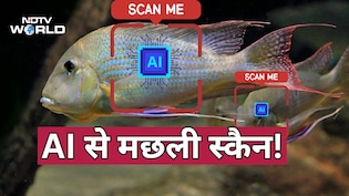 चीन तिब्बत की सबसे बड़ी नदी पर मछलियों को AI से स्कैन क्यों कर रहा?