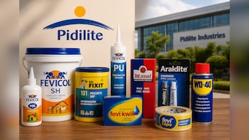 Pidilite Industries' Q1 Margins Did The Heavy Lifting; Can They Do It Again?