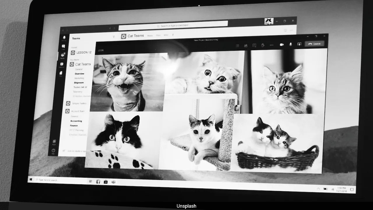 Fed Up With Their Bosses, Chinese Workers Turn Them Into AI Pets