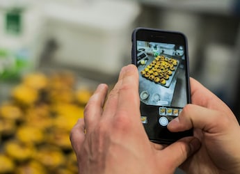 Opinion | Fix The Problem, Not The Blame: Hospitality Industry's Message To Regulatory Raiders
