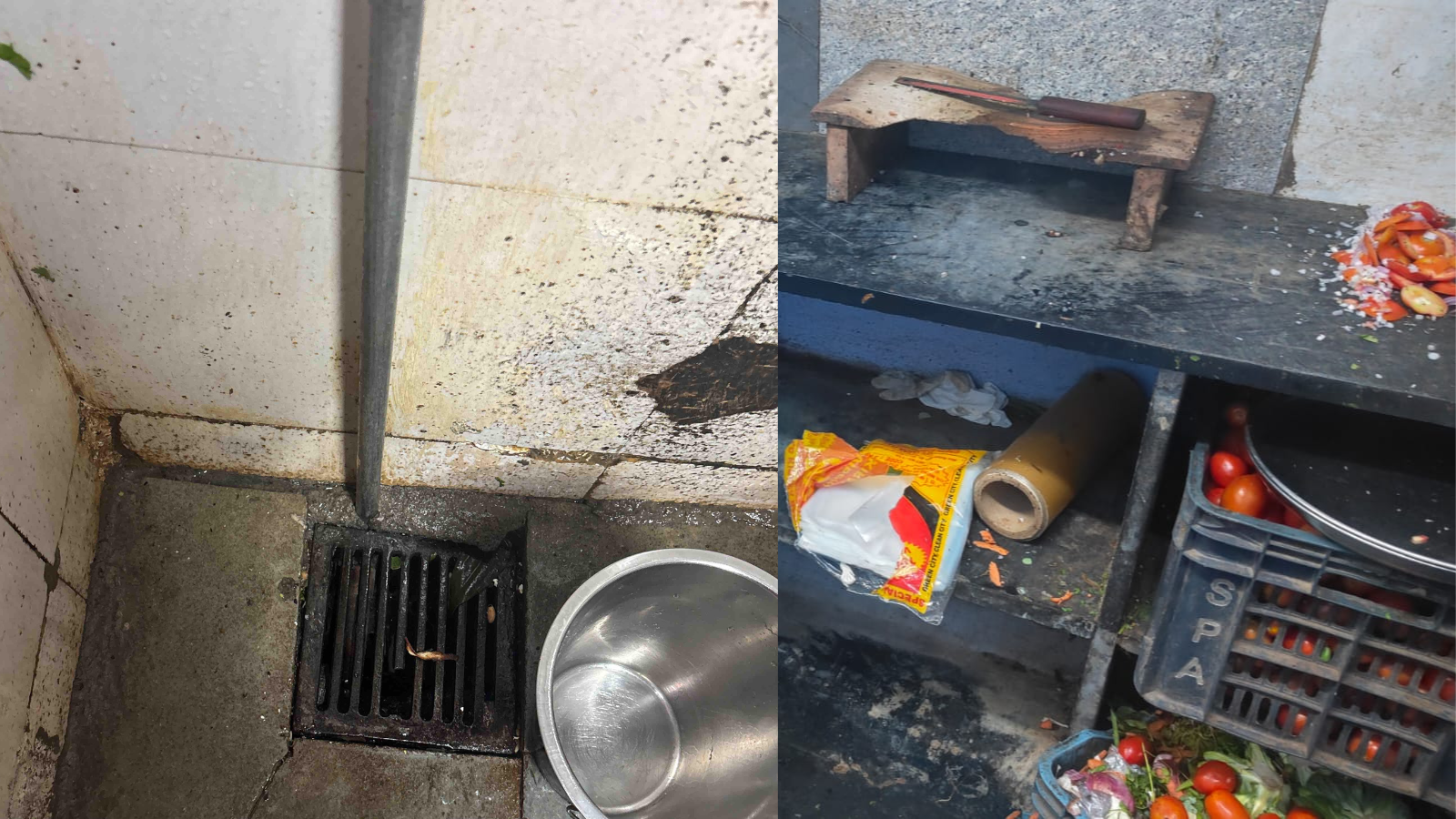 Roach, Flies, Fakes: Action Against Mumbai McDonald's Outlet, Elite Clubs
