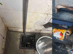Roach, Flies, Fakes: Action Against Mumbai McDonald's Outlet, Elite Clubs