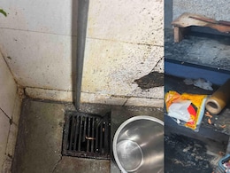Roach, Flies, Fakes: Action Against Mumbai McDonald's Outlet, Elite Clubs