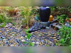 DIY Idea: घर में पड़ी खाली कांच की बोतलों से बनाएं स्टाइलिश पेवर्स, बगीचे की बढ़ जाएगी खूबसूरती