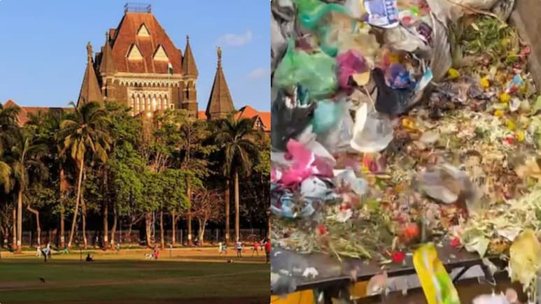 भारत में कचरा कहीं भी फेंकते हैं, विदेशों में रूल फॉलो करते हैं... बॉम्बे HC लोगों की गंदगी वाली आदत से नाराज