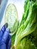 Maharashtra's AI Portal Lets Citizens Report Unsafe Food In Seconds