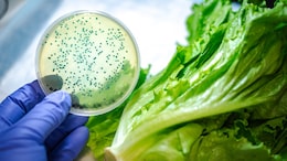 Maharashtra's AI Portal Lets Citizens Report Unsafe Food In Seconds