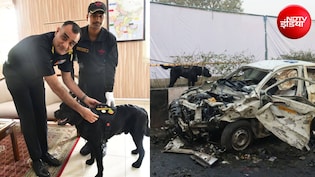 'सभी जवान बूट नहीं पहनते...' NSG के डॉग डॉनी को मिला अवॉर्ड, लालकिला ब्लास्ट में खोजे थे अहम सुराग