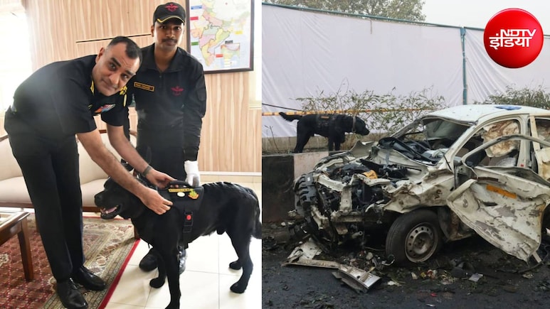 'सभी जवान बूट नहीं पहनते...' NSG के डॉग डॉनी को मिला अवॉर्ड, लालकिला ब्लास्ट में खोजे थे अहम सुराग