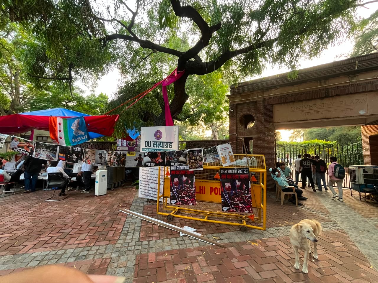 डीयू कला संकाय के गेट बाहर छात्र धरने पर बैठे हैं. डीयू कला संकाय के गेट बाहर छात्र धरने पर बैठे हैं.