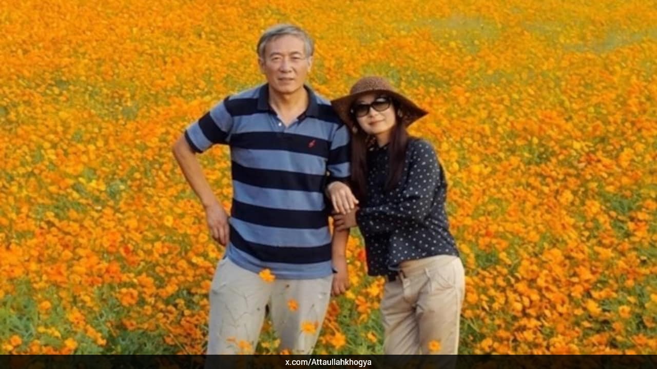 Chinese Man Builds World's Largest Hollyhock Garden To Honour Wife's Childhood Memory