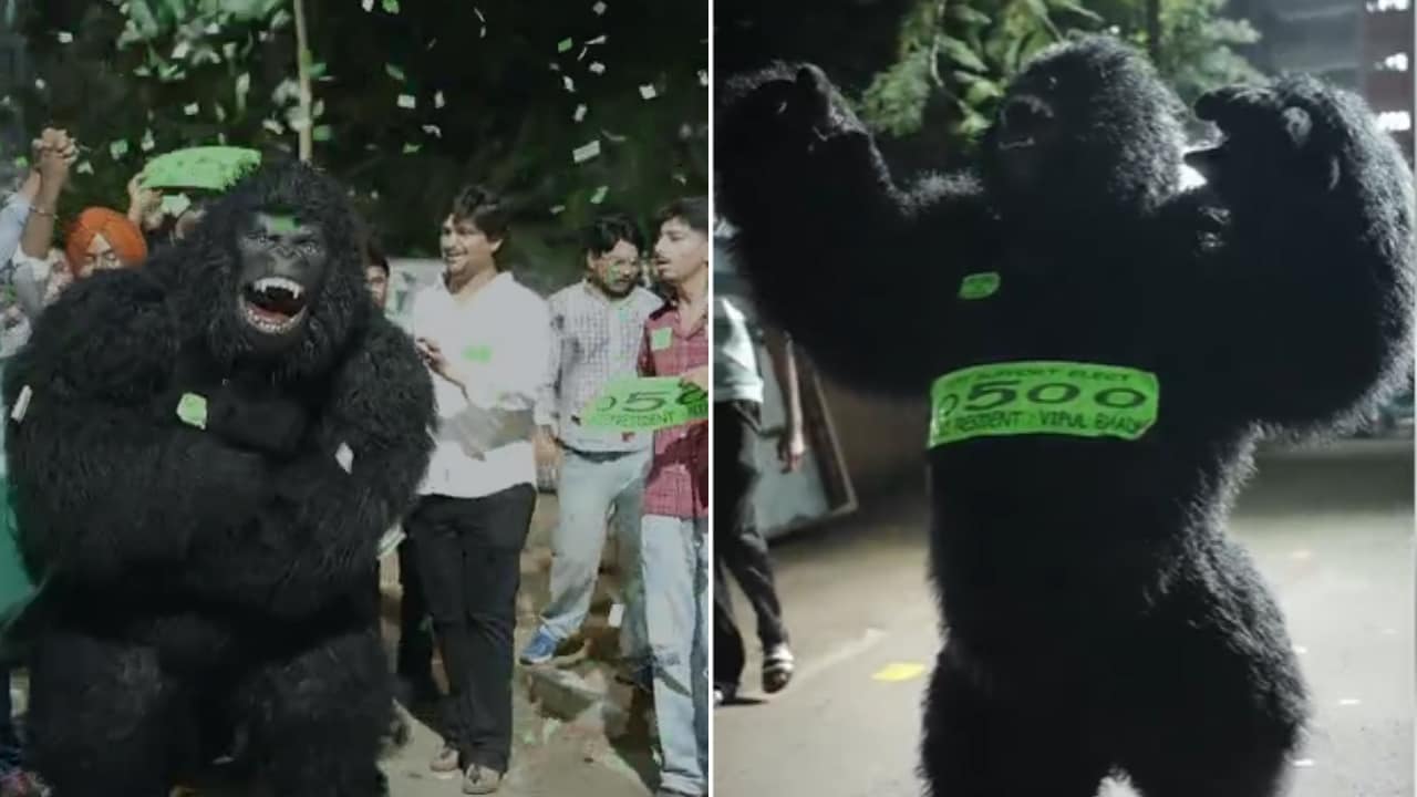 'Gorilla Campaign' At Panjab University As Monkey Menace Becomes Poll Issue
