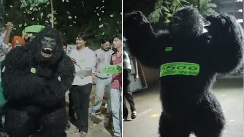 'Gorilla Campaign' At Panjab University As Monkey Menace Becomes Poll Issue