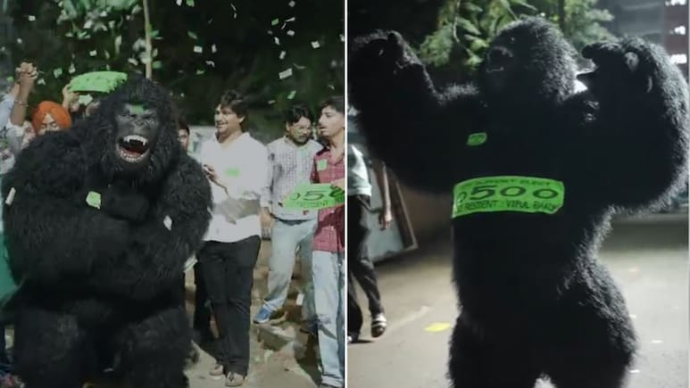 'Gorilla Campaign' At Panjab University As Monkey Menace Becomes Poll Issue