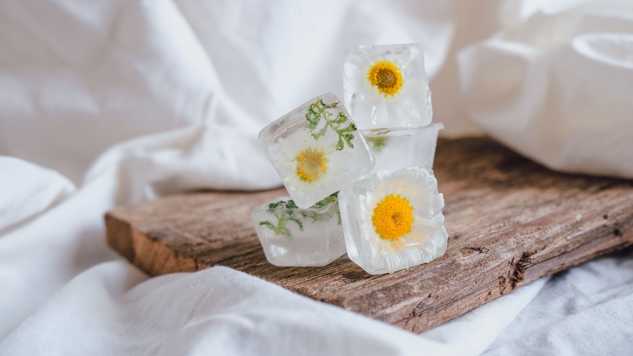 10 Reasons Ice Cubes Absorb Freezer Odours And How To Keep Them Fresh 10 Reasons Ice Cubes Absorb Freezer Odours And How To Keep Them Fresh