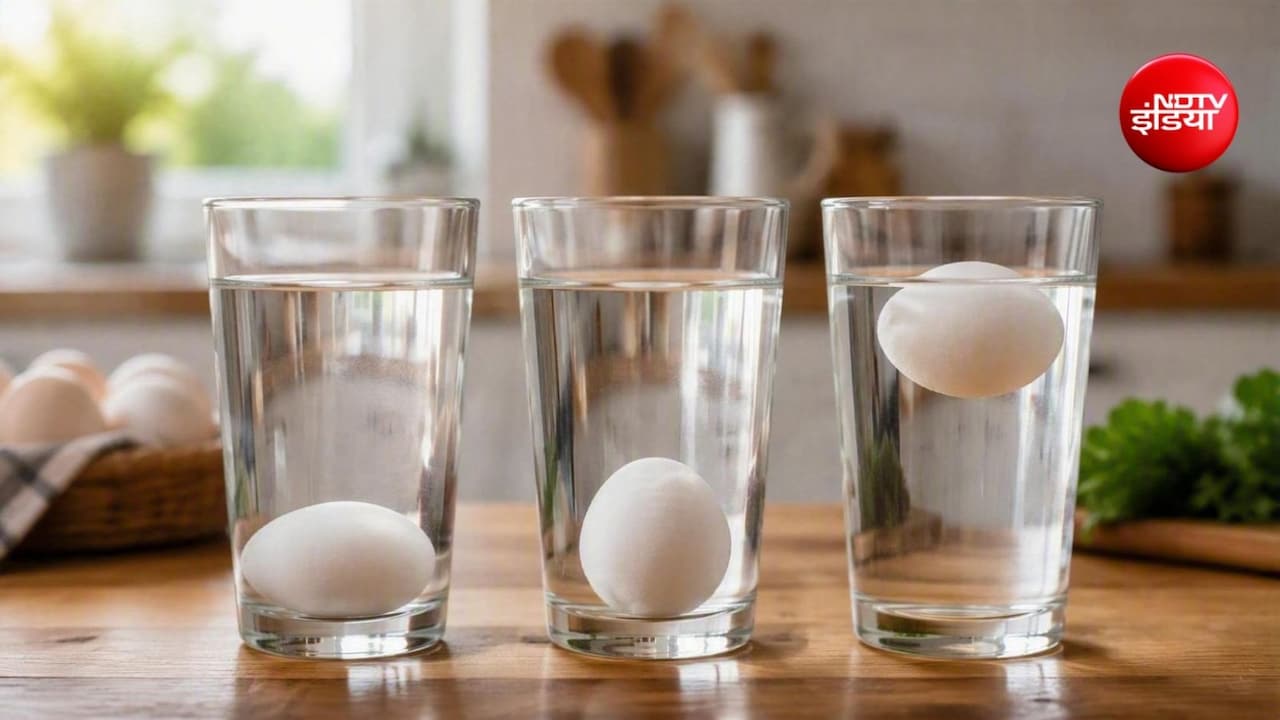 अंडा ताजा है या खराब? सिर्फ 10 सेकंड में ऐसे करें पता, FSSAI ने बताया आसान तरीका