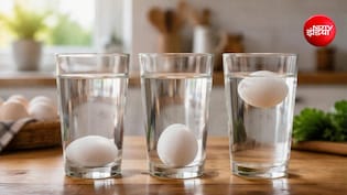 अंडा ताजा है या खराब? सिर्फ 10 सेकंड में ऐसे करें पता, FSSAI ने बताया आसान तरीका