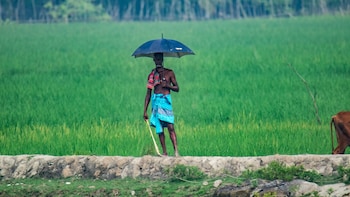 IMD Shares 'Below Normal' Forecast For Sept Rains After August Deficit Widens To 16%