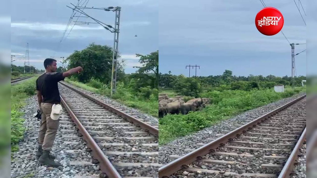 राजधानी एक्सप्रेस  के सामने आ गया हाथियों का झुंड, फिर एक वनकर्मी ने जो किया, उसकी हो रही चर्चा