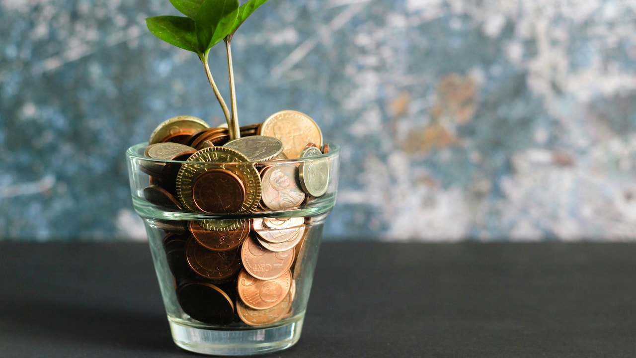 This SFB Offers 8.50% FD Rate — Check Top 10 Small Finance Banks Offering Highest Interest Rates