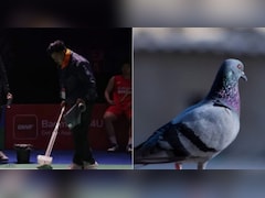 'ना बंदर, ना कबूतर, इस बार परिंदा भी पर नहीं मार सकता,' दिल्ली BWF वर्ल्ड चैंपियनशिप के लिए किए गए 3 बड़े उपाय