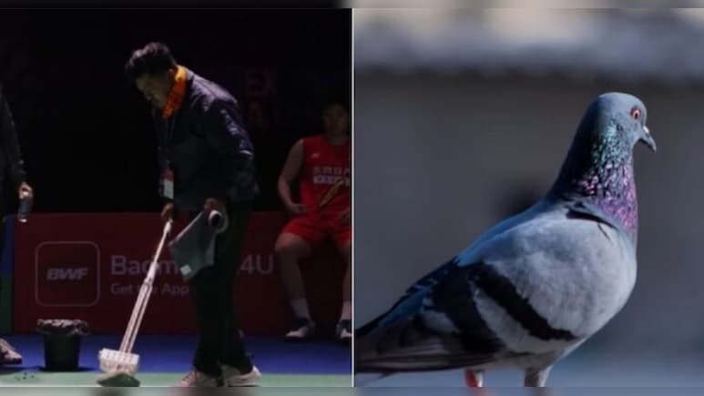 'ना बंदर, ना कबूतर, इस बार परिंदा भी पर नहीं मार सकता,' दिल्ली BWF वर्ल्ड चैंपियनशिप के लिए किए गए 3 बड़े उपाय
