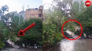 VIDEO: बारिश को झेल नहीं पाया दिल्ली का ये स्कूल, भरभराकर गिरी दीवार
