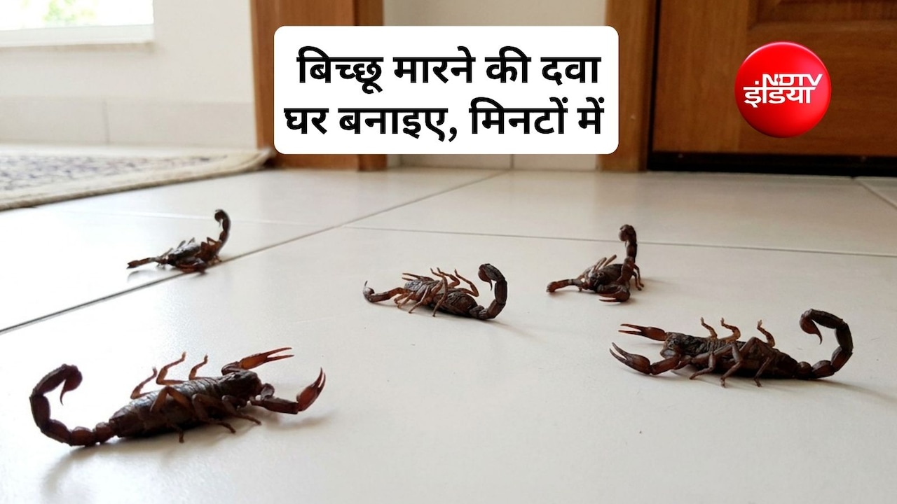 बिच्छू को भगाने के लिए कौन से घरेलू उपाय हैं? बिच्छू की देसी दवा क्या है