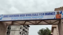 Surat Fish Market Named After PM Modi Without Civic Approval Sparks Controversy