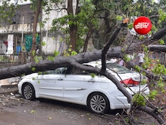 घर के पास पार्क आपकी गाड़ी पर गिरा पेड़, तो तुरंत आपको करना चाहिये यह 3 काम, तभी मिलेगा इंश्योरेंस