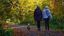Why 17 Minutes Outdoors Every Day Could Be Good For Your Health