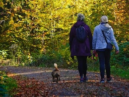 Why 17 Minutes Outdoors Every Day Could Be Good For Your Health