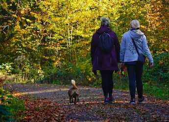 Why 17 Minutes Outdoors Every Day Could Be Good For Your Health