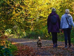 Getting Outside Despite Your 9-to-5 Job Can Improve Your Mental Health - Here's How To Spend Time In Nature During And Around Working Hours