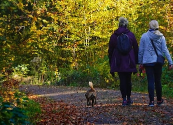 Getting Outside Despite Your 9-to-5 Job Can Improve Your Mental Health - Here's How To Spend Time In Nature During And Around Working Hours