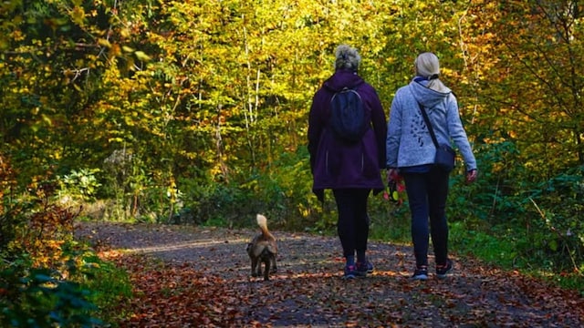 Getting Outside Despite Your 9-to-5 Job Can Improve Your Mental Health - Here's How To Spend Time In Nature During And Around Working Hours