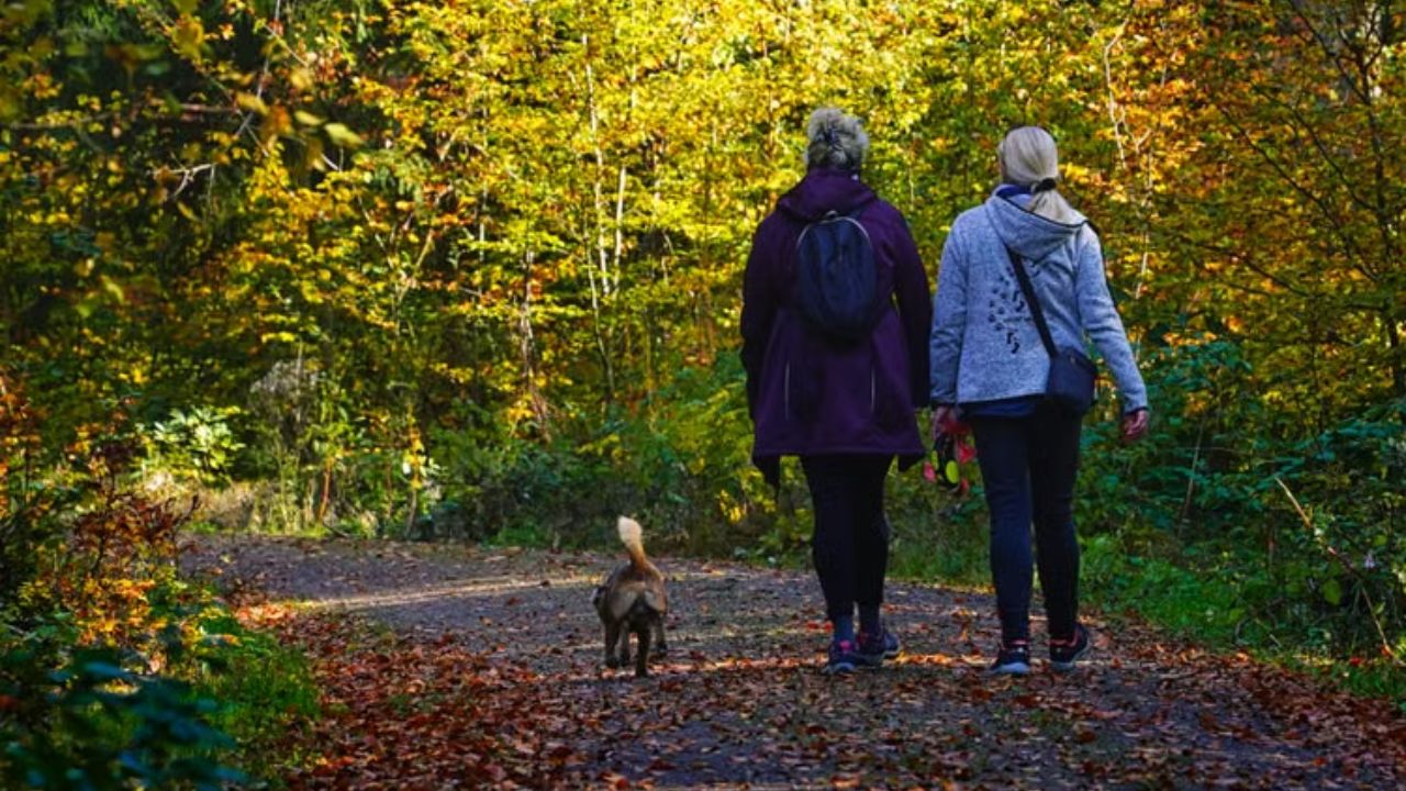Getting Outside Despite Your 9-to-5 Job Can Improve Your Mental Health - Here's How To Spend Time In Nature During And Around Working Hours