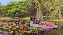 'I Had No Idea This Existed,' Anand Mahindra Shares A Hidden Pink Paradise Near Indore